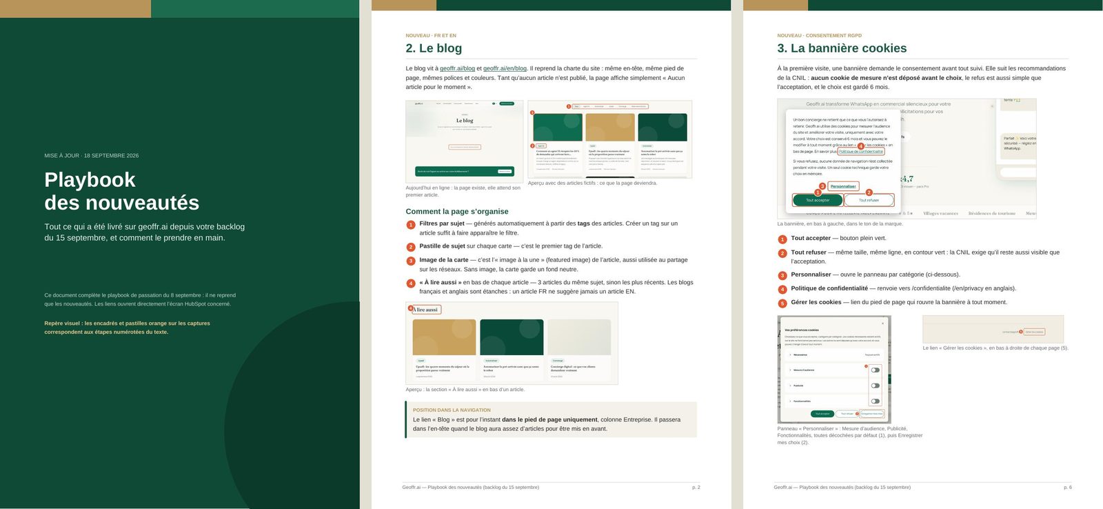 Pages from the annotated playbook handed over to Geoffr.ai